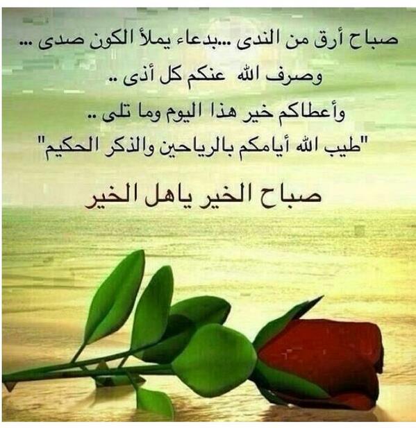 111Amoole tweet picture