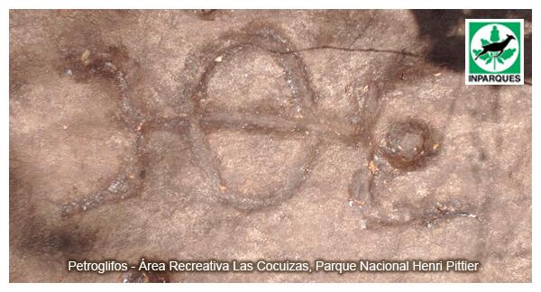 Inparques Aragua tweet media