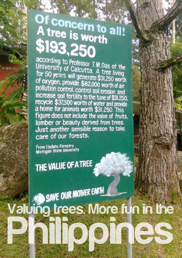 SamDuremdes's tweet image. Valuing trees. More fun in the Philippines. #devc10