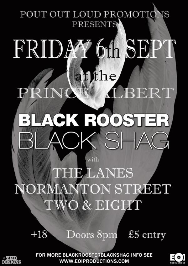 BlackRoostrBlackShag tweet media