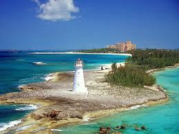 PalmTreeGetaway tweet picture