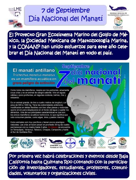 Estamos listos para celebrar el día nacional del manatí ¡Únete! Calendario de actividades: gomlme.iwlearn.org/es/es/document…