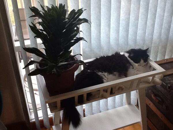 gentlybently's tweet photo. Hard life for some of us http://t.co/WoLZQQssKY