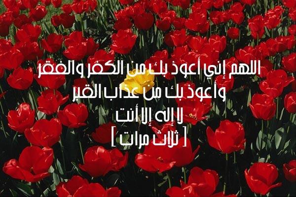 Ghadyalshiddi's tweet photo. #أذكار_الصباح_و_المساء http://t.co/w3MfOvnlA9