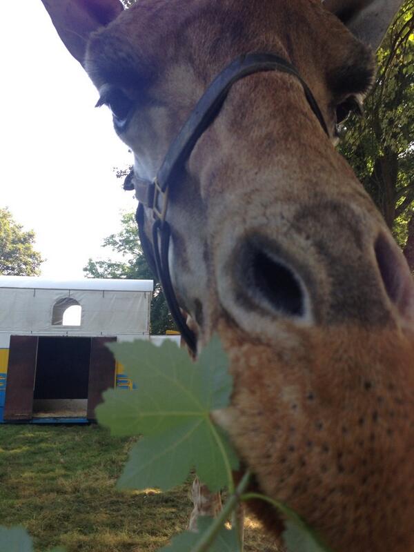 Schuurle's tweet photo. Bijna m'n telefoon kwijt! #circusintown http://t.co/grDjb5Feb2