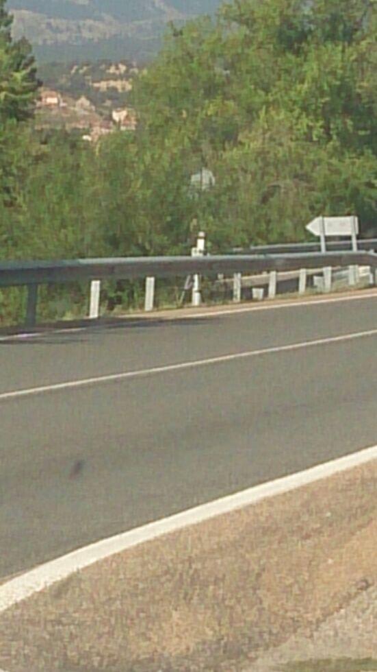 Guadalix Joven tweet media