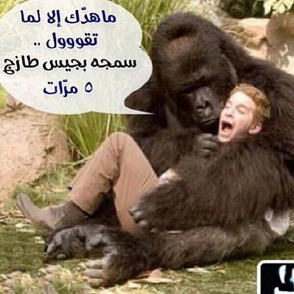 i6ai0's tweet photo. لي يقوله يسوي ريتويت وراح اتابعه وسويله ريتويت 
 اللي يقولها خمس مرات وبسرعه يسوي رتويت على   
طوووول!!! http://t.co/8GH7pscGH9