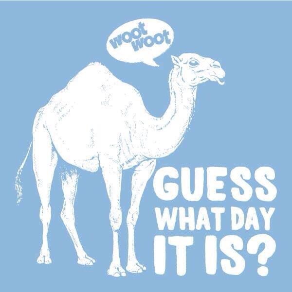 JarrethMilling's tweet photo. HUMP DAY!!!!! http://t.co/intpixg6WW