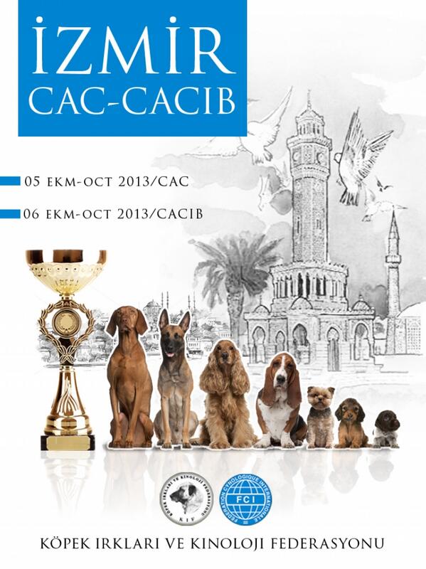 05-06 Ekim  İzmir Yarışma kaydı açılmıştır. kif.org.tr  adresinden online başvuru yapabilirsiniz.