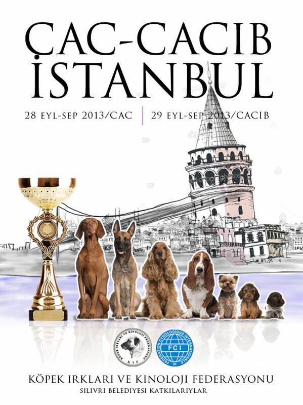 28-29 Eylül İstanbul Yarışma kaydı açılmıştır. kif.org.tr  adresinden online başvuru yapabilirsiniz.