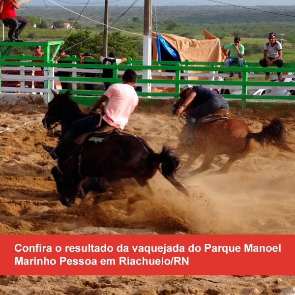 Frases Vaquejada (@FVaquejada) / Twitter Frases Vaquejada (@FVaquejada) / Twitter