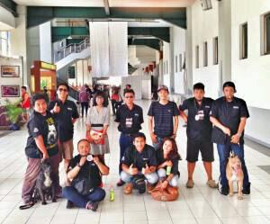 Pitbullcomunity's tweet photo. DFPC at Jogjakarta Expo Centre .. ABKC and APBT show .. Sporting dog by AKSI jateng ! http://t.co/yLMpd3p5Gd