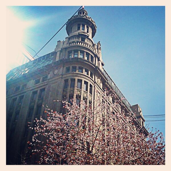 pool_gallo's tweet image. Adelanto de primavera. Santiago de Chile