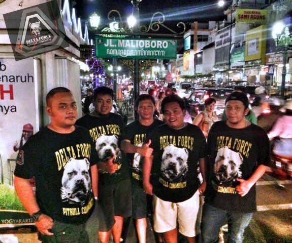 Pitbullcomunity's tweet photo. @Chichibegal @cesar_tampan http://t.co/t1GcpMx7W1