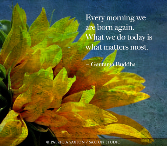 asersentido's tweet photo. "Cada mañana nacemos de nuevo. Lo que haremos hoy, es lo que importa. " Gautama Buddha  http://t.co/JEUGs4Asbu http://t.co/9ChsSRSiU5