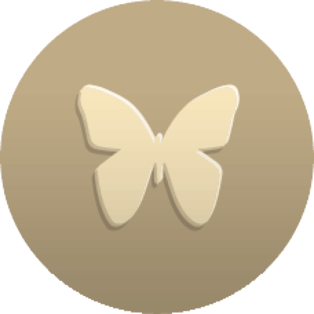DanaWalden's tweet photo. I'm working towards completing the Social Butterfly bonus using @IbottaApp. http://t.co/Xtz6Rn1Dc2
