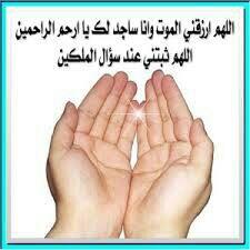 ssddf2 tweet picture