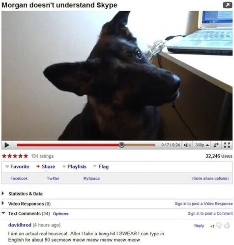 Funniest Comments! (@youtubereplies) on Twitter photo 