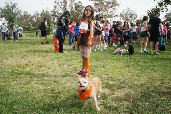 Support us as we walk in the Strut Your Mutt! strutyourmutt.org/index.cfm?fuse… via <a href="/DonorDrive/">DonorDrive</a> @BFAS_LA