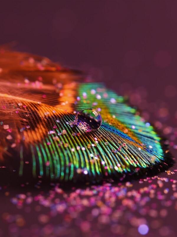 kbarnes2020's tweet photo. #inlove #peacock #colors #wowzer #ipadbackground http://t.co/xCVRwSoNtU