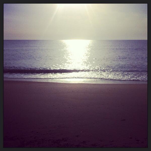 giuseppe viscomi tweet media