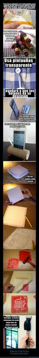 PajaritodeTwit's tweet image. Estas ideas son la hostia