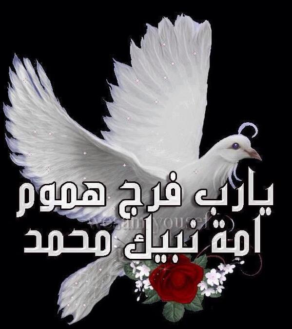 بشرى (@afrbouchra) on Twitter photo 