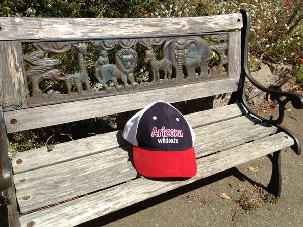 ECPCFound's tweet image. 