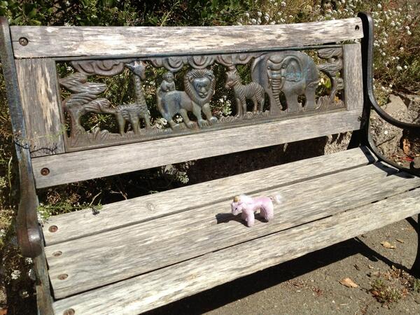 ECPCFound's tweet image. 