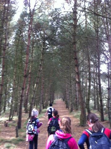 OWLprojectEd's tweet image. The road leads where it's led.