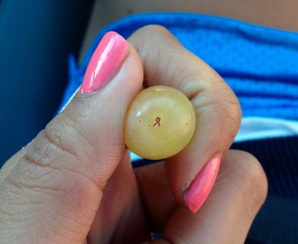 UntilOrg's tweet photo. Possible #HIV #AIDS vaccine http://t.co/Ql8AlXBxYG &amp; a little reminder of hope in our interns grapes #itsasign #UNTIL http://t.co/nSHZf6GLAc