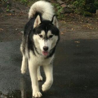 Sheila Marcia On Twitter Kabarklaten Help Kelangan Hilang