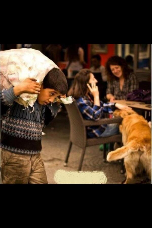 #حقيقه_مؤلمه زمن يكرم فيه الحيوان ويذل الانسان !!#غرد_بصورة