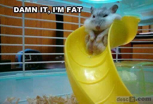 Nicky Thomas tweet media