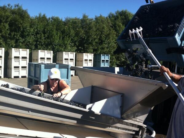 Mia Klein tweet media