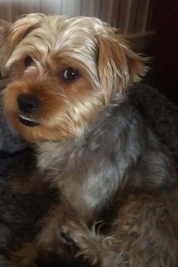 My Ralph .... Love my pooch 💋