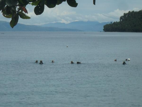Some of the group learning to dive! :) #PADI #diving #Philippines #coraycayconservation