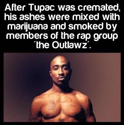 TupacQuote_'s tweet photo. Holy marijuana #tupacfact @TheOutlawz http://t.co/4lVkIJTZCb
