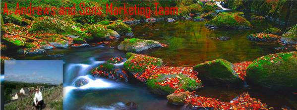 aandrews's tweet photo. Facebook and Twitter cover photo http://t.co/kgTcifmzlG