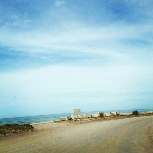 by_LOLITA's tweet photo. #harmony http://t.co/qXk7T7CPAo