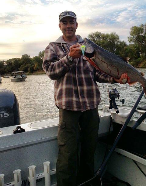 HawkenFishing's tweet photo. This Sacramento River beauty fell victim to a Simon Wobbler in 15 feet of water. Great job Sven! http://t.co/YGFVVAOvc6