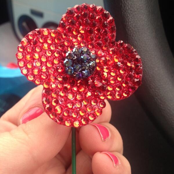 blingtastic85's tweet photo. Poppies will be £3 with all proceeds going to charity http://t.co/HrNlAGpo2h