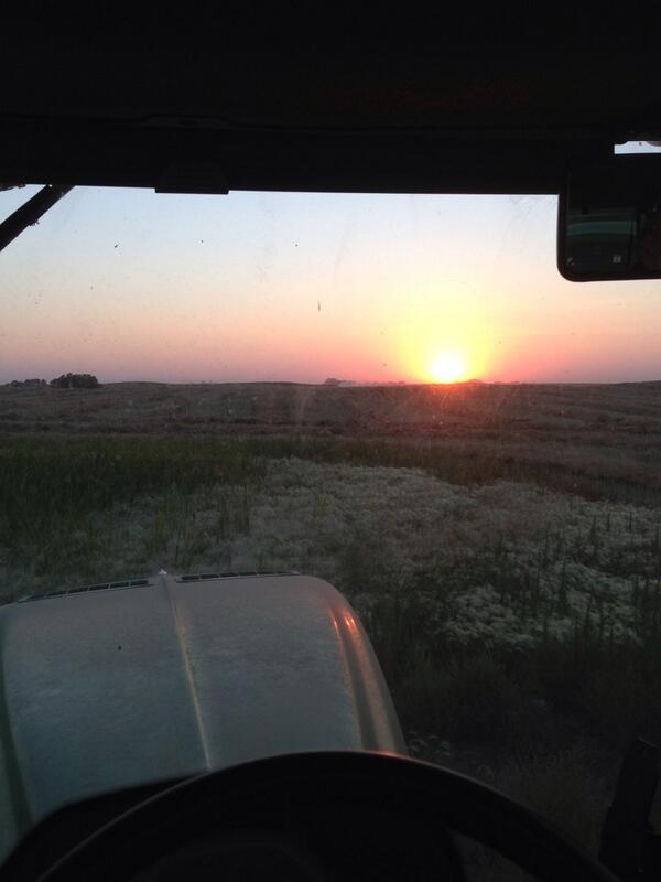 nbeernut's tweet image. View out of my office window is pretty nice right now #countryproblems #none @FarmKidLife