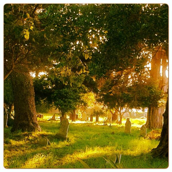 HaroldTheFilm's tweet photo. A beautiful morning shoot in Constantia http://t.co/RDPcyKUMy5