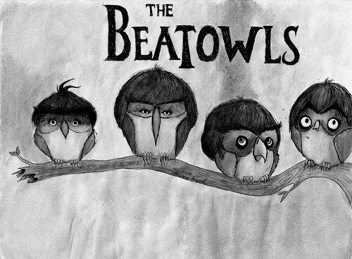 FigaroPaula's tweet photo. The Beatowls. http://t.co/AadXUgBrc7