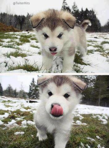 TuiterHits's tweet photo. RT si te gustaría tener uno de estos. http://t.co/CCzqHmSqTT