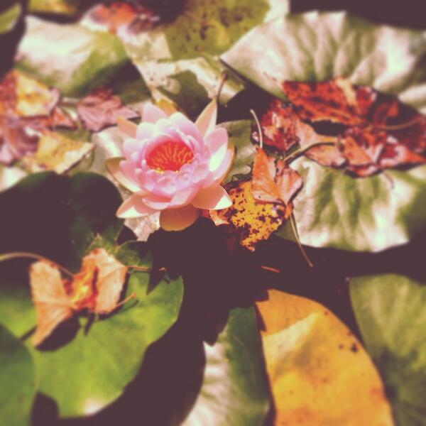 Güzel bir gün olsun. Spor dolu, sağlıklı, huzurlu...