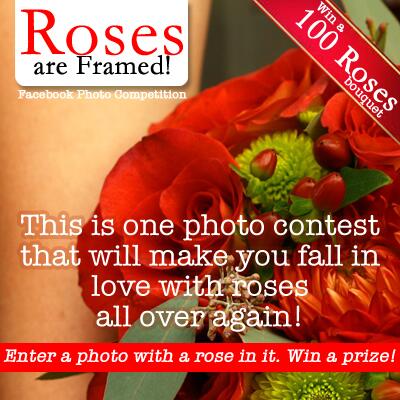 TheFlowerExpert's tweet photo. Your chance to #win this beautiful 100 #roses bouquet .. http://t.co/t99Ipz7jzr 
#Contest #giveaway http://t.co/zSGhFH7LJV