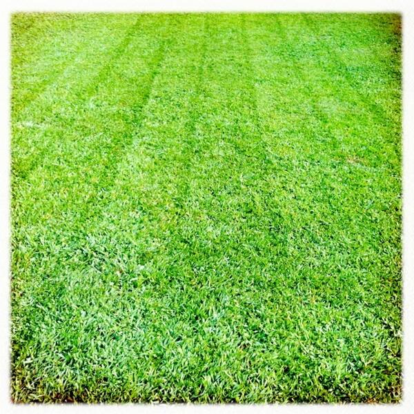 dericcook's tweet photo. http://t.co/QYbZFNYbqp