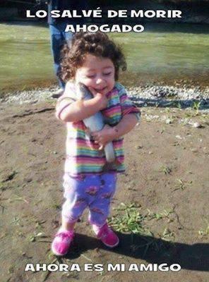 Lo Mejor de Twitland tweet media
